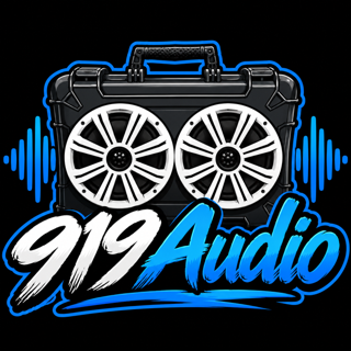 919 Audio Logo